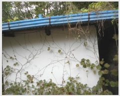  2024Ÿ��103604 ��� �ȵ��� �ڹ��2�� 24       ���ð��