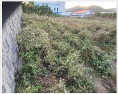  2024Ÿ103758  ȵ  664-13       ()