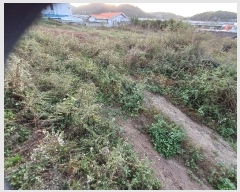  2024Ÿ103758  ȵ  664-13       ()