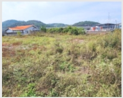  2024Ÿ103758  ȵ  664-13       ()