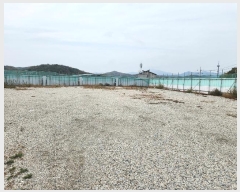  2024Ÿ��103789  �������