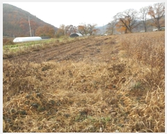  2024Ÿ103901  ȵ ǳõ 㸮 1348-2      (1)