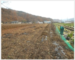  2024Ÿ103901  ȵ ǳõ 㸮 1348-2      (1)