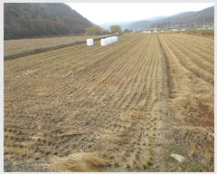  2024Ÿ103901  ȵ ǳõ 㸮 1348-2      (1)