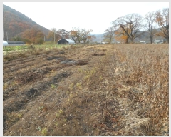  2024Ÿ103901  ȵ ǳõ 㸮 1348-2      (1)