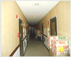  2024Ÿ104096  ȵ ĸ õ 334-5      ڽü,,ȣ,