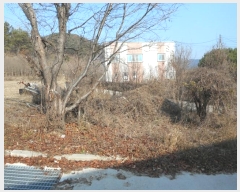  2024Ÿ104096  ȵ ĸ õ 334-5      ڽü,,ȣ,