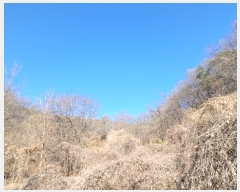  2024Ÿ104393  ȵ ͷ ϸ 307      (1)