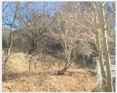  2024Ÿ104393  ȵ ͷ ϸ 307      (1)