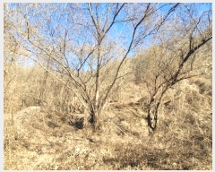  2024Ÿ104393  ȵ ͷ ϸ 307      (1)