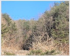  2024Ÿ104393  ȵ ͷ ϸ 307      (1)