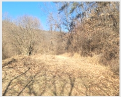  2024Ÿ104393  ȵ ͷ ϸ 307      (1)