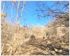  2024Ÿ104393  ȵ ͷ ϸ 307      (1)