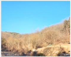  2024Ÿ104393  ȵ ͷ ϸ 307      (1)