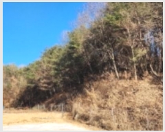  2024Ÿ104393  ȵ ͷ ϸ 307      (1)