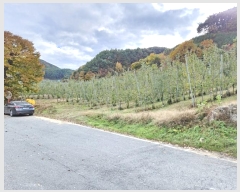  2024Ÿ1562  ȵ   394-2      (1)