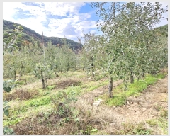  2024Ÿ1562  ȵ   394-2      (1)