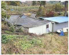  2024Ÿ1562  ȵ   394-2      (1)