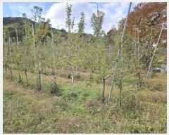  2024Ÿ1562  ȵ   394-2      (1)