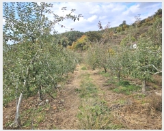  2024Ÿ1562  ȵ   394-2      (1)