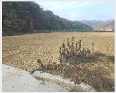  2024Ÿ1654  ȵ ȸ 14-2       ()