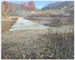  2024Ÿ1654  ȵ ȸ 14-2       ()