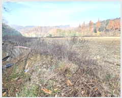  2024Ÿ1654  ȵ ȸ 14-2       ()