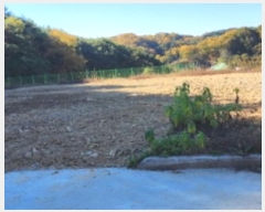  2024Ÿ1654  ȵ ȸ 14-2       ()