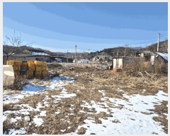  2024Ÿ1869  ֽ ܻ 븮 169-13      (1)