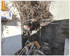  2024Ÿ1869  ֽ ܻ 븮 169-13      (1)