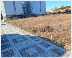  2024Ÿ��2015 ��� �ȵ��� ǳõ�� ������ 1636      ����(����)���