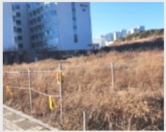  2024Ÿ��2015 ��� �ȵ��� ǳõ�� ������ 1636      ����(����)���