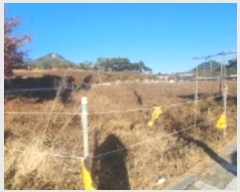  2024Ÿ��2015 ��� �ȵ��� ǳõ�� ������ 1636      ����(����)���