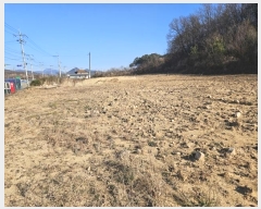  2024Ÿ��2046 ��� �ȵ��� ǳõ�� ���縮 940      ����(��1)���