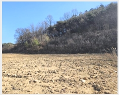  2024Ÿ��2046 ��� �ȵ��� ǳõ�� ���縮 940      ����(��1)���