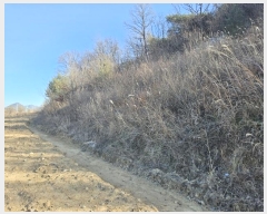  2024Ÿ��2046 ��� �ȵ��� ǳõ�� ���縮 940      ����(��1)���