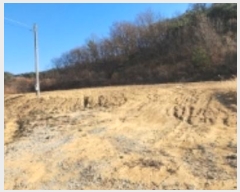  2024Ÿ��2046 ��� �ȵ��� ǳõ�� ���縮 940      ����(��1)���