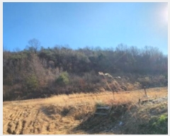  2024Ÿ��2046 ��� �ȵ��� ǳõ�� ���縮 940      ����(��1)���