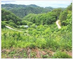  2024Ÿ101905  ȭ ȣ ﵿ 1123-1      (1)