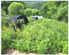  2024Ÿ101905  ȭ ȣ ﵿ 1123-1      (1)