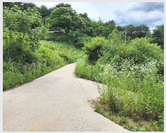  2024Ÿ101905  ȭ ȣ ﵿ 1123-1      (1)