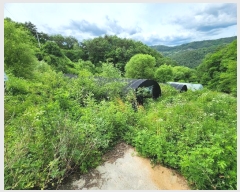  2024Ÿ101905  ȭ ȣ ﵿ 1123-1      (1)