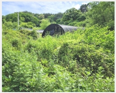  2024Ÿ101905  ȭ ȣ ﵿ 1123-1      (1)