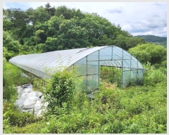  2024Ÿ101905  ȭ ȣ ﵿ 1123-1      (1)