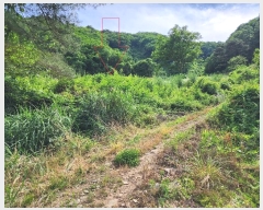  2024Ÿ101905  ȭ ȣ ﵿ 1123-1      (1)