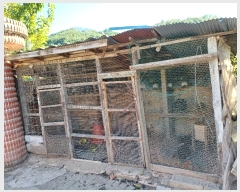  2024Ÿ103444  ȭ ȭ  944-1      (1)