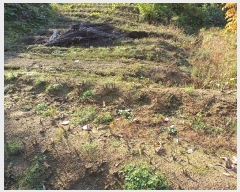  2024Ÿ103826  ȵ ȸ 긮 911      (1)