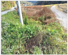  2024Ÿ103826  ȵ ȸ 긮 911      (1)