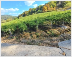  2024Ÿ103826  ȵ ȸ 긮 911      (1)