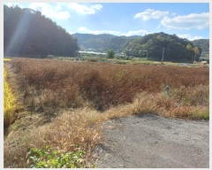  2024Ÿ103826  ȵ ȸ 긮 911      (1)